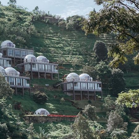 צ'יסרואה Damar Langit Resort מראה חיצוני תמונה