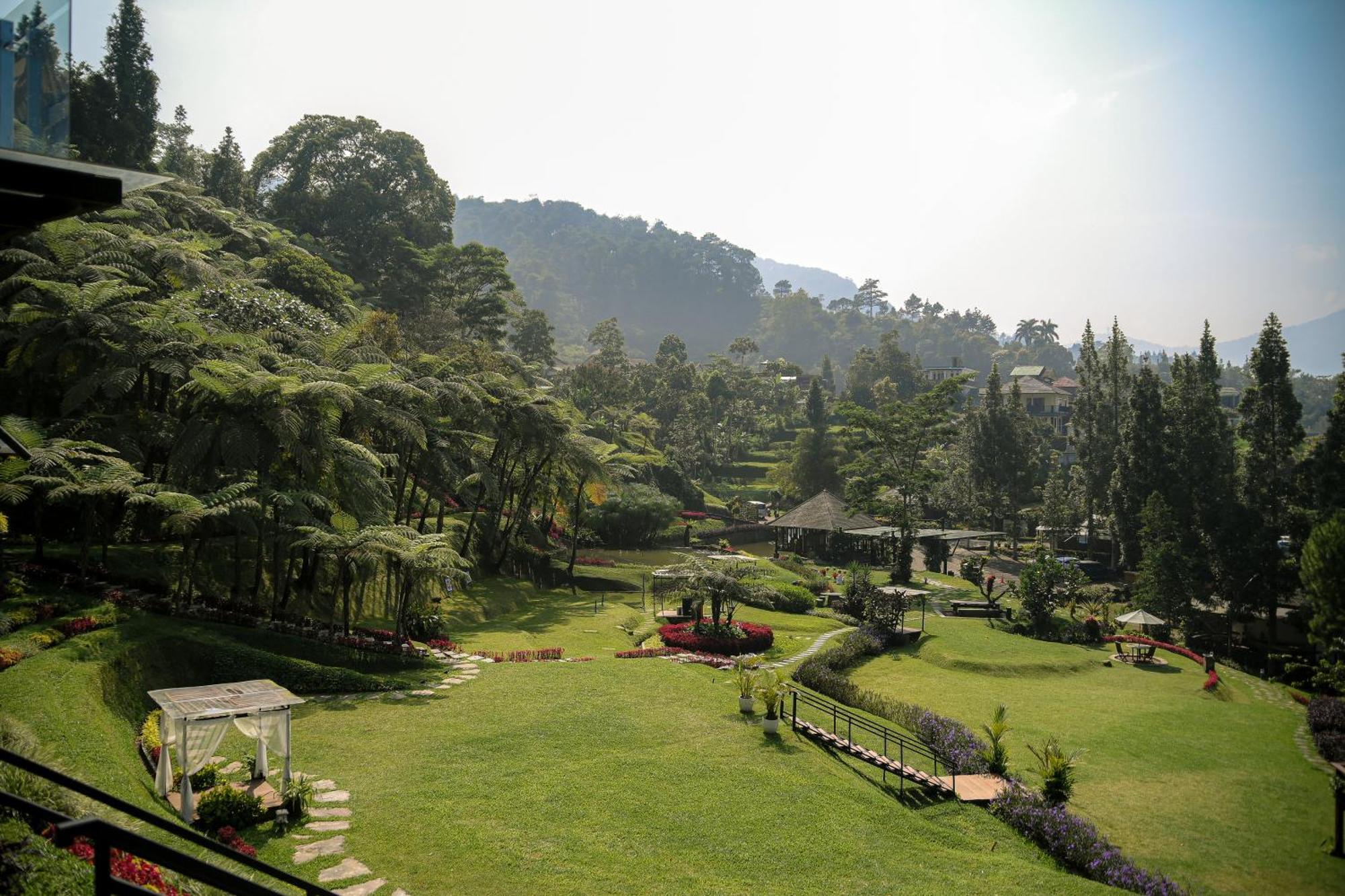 צ'יסרואה Damar Langit Resort מראה חיצוני תמונה