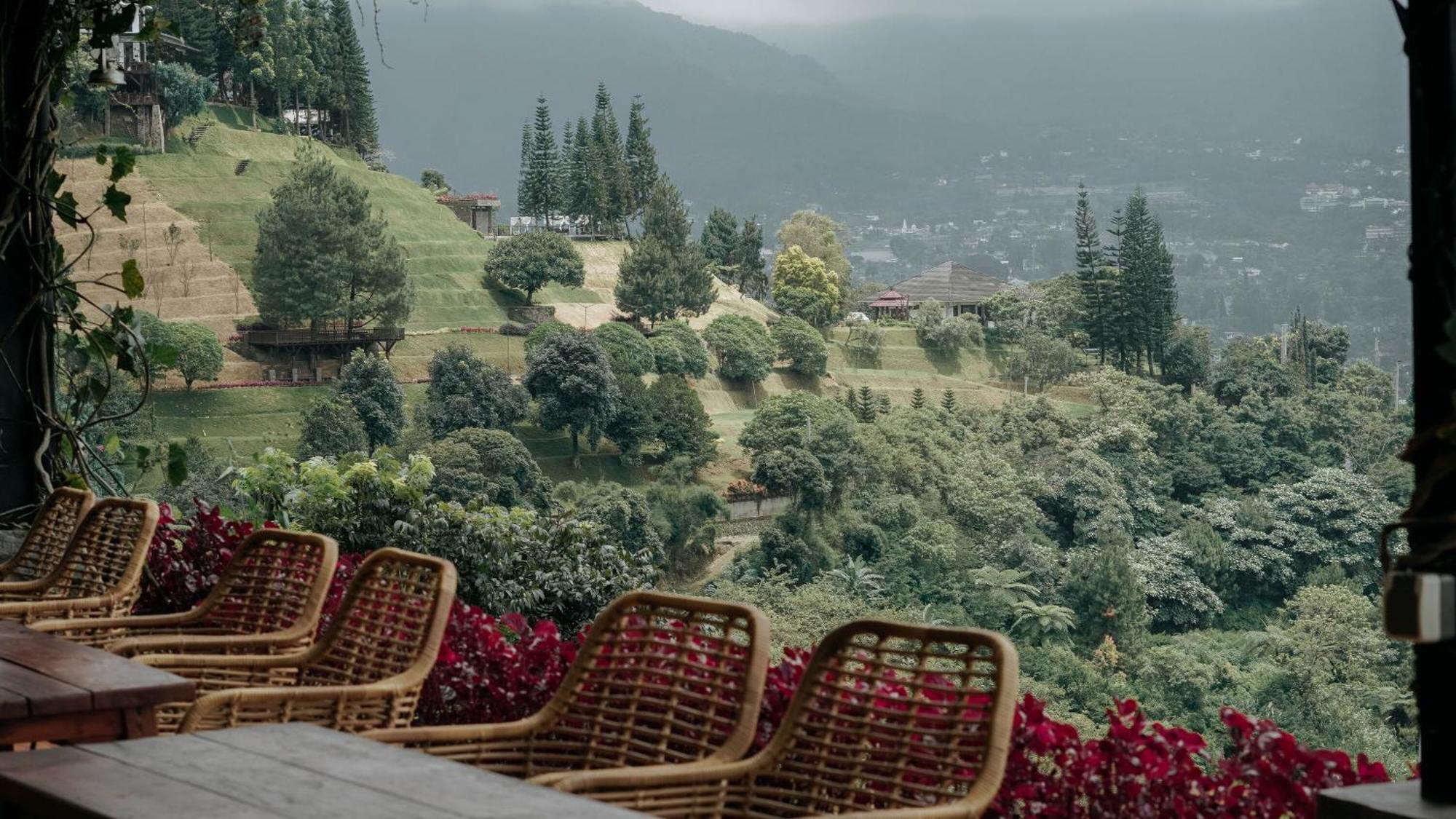 צ'יסרואה Damar Langit Resort מראה חיצוני תמונה