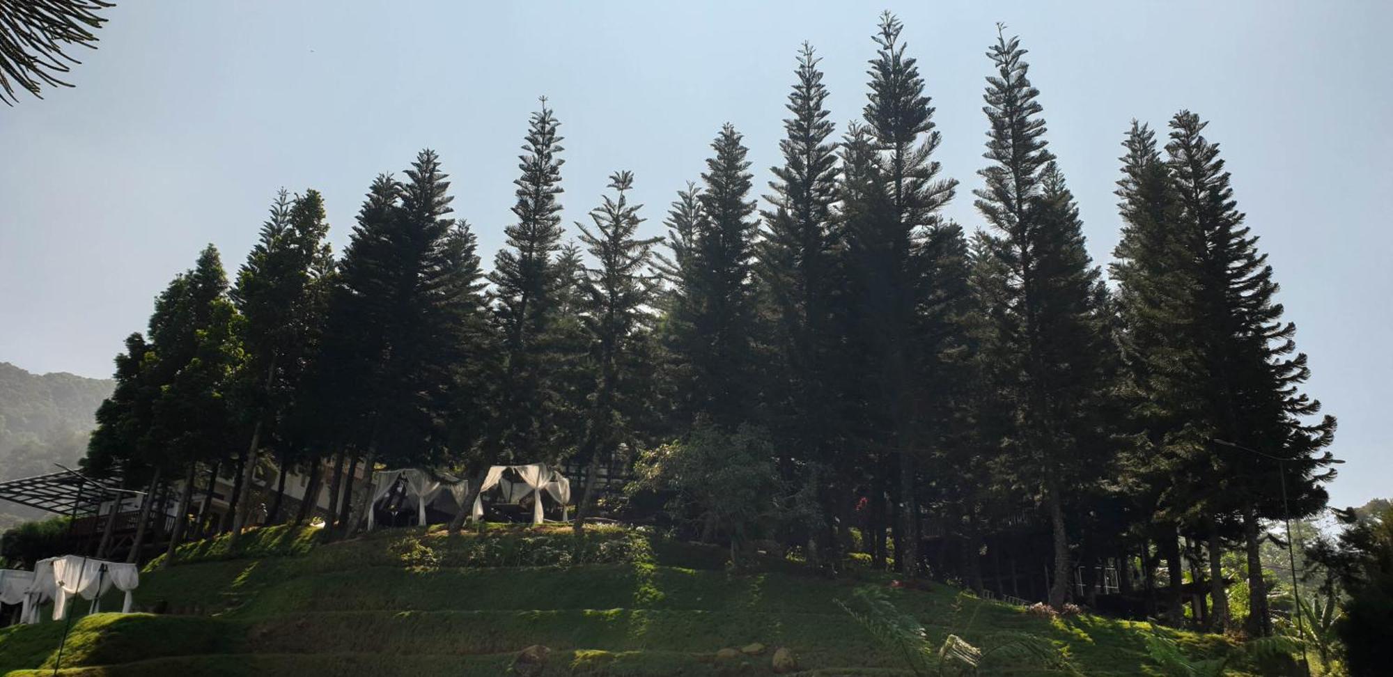 צ'יסרואה Damar Langit Resort מראה חיצוני תמונה