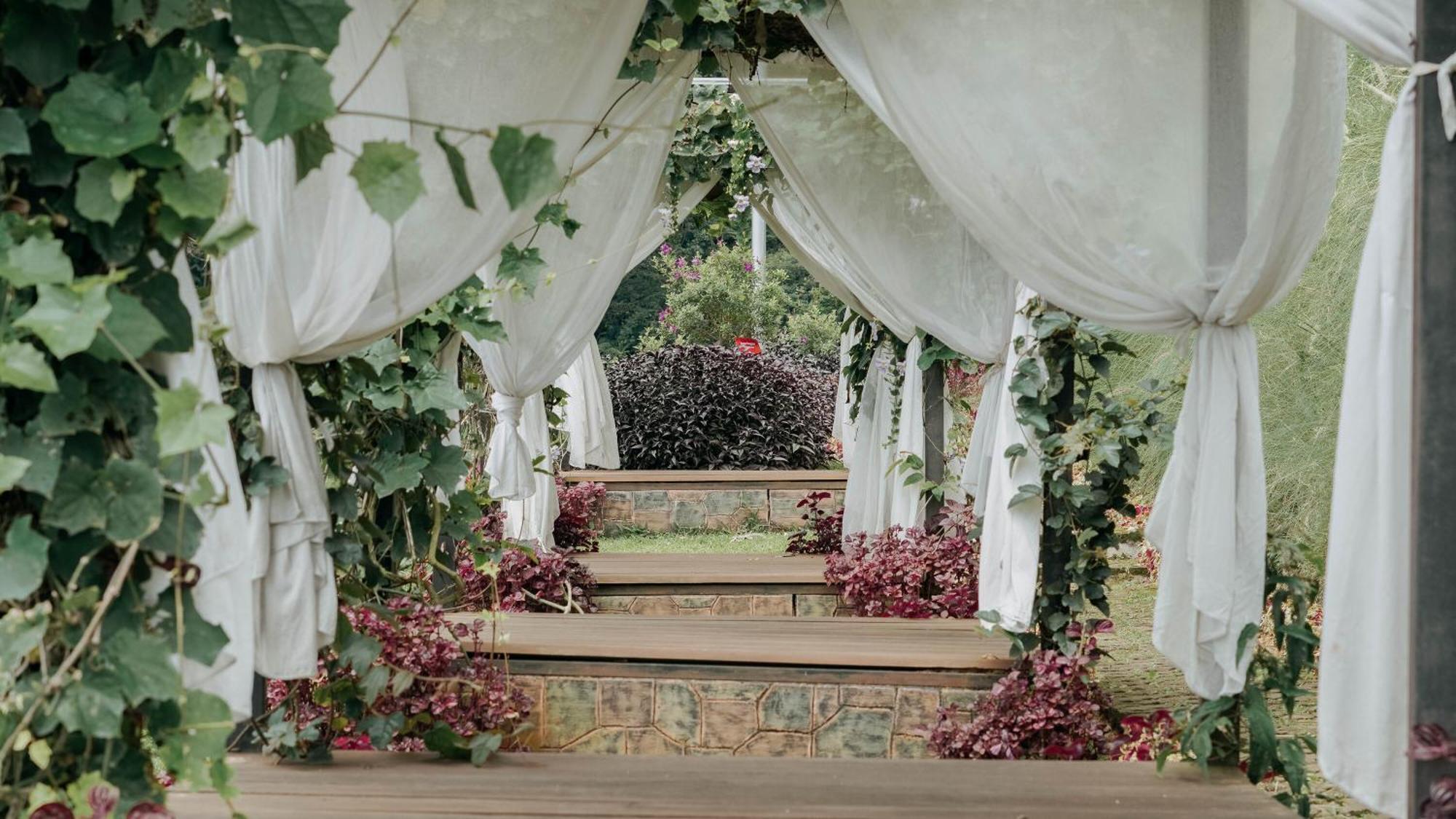 צ'יסרואה Damar Langit Resort מראה חיצוני תמונה