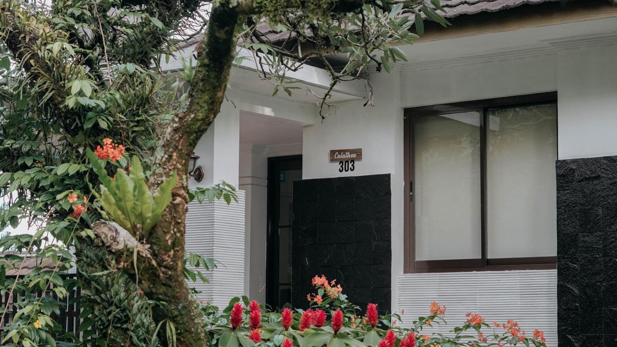 צ'יסרואה Damar Langit Resort מראה חיצוני תמונה